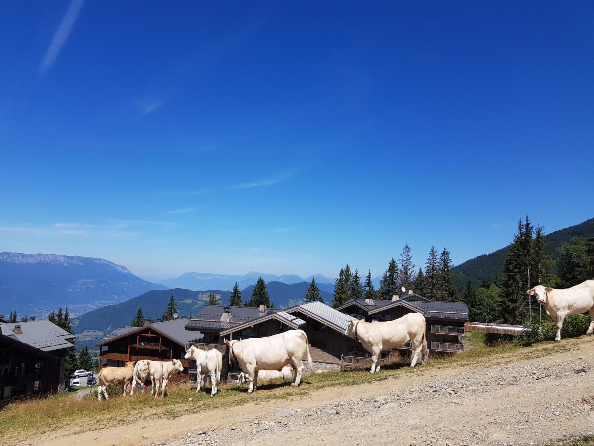 Les 7 Laux Immobilier Chalet E Prapoutel Exterior foto